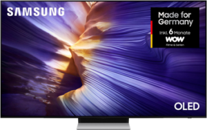Samsung GQ65S90FAT OLED-Fernseher