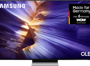 Samsung GQ65S90FAT OLED-Fernseher