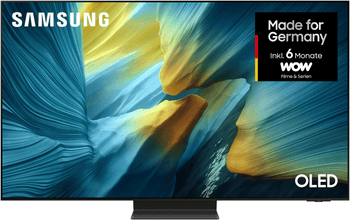 Samsung GQ55S95FAT OLED-Fernseher