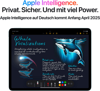 Apple 11" iPad Air Wi-Fi Tablet