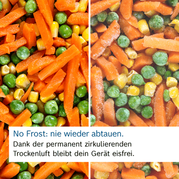 BOSCH Kühl-/Gefrierkombination Serie 4 KGN39OCAF, 203 cm hoch, 60 cm breit, Green Collection: produziert mit CO₂ reduzierten Materialien