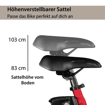 AGON E-Bike Faltrad Aurevia, 7 Gang Shimano Tourney Schaltwerk, Kettenschaltung, Heckmotor, 468 Wh, E Bike Klapprad 20" Pedelec für Damen Herren 155-195cm Elektrofahrrad