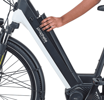 Prophete E-Bike Cityrad Geniesser 4.8, 7 Gang Shimano Nexus Schaltwerk, Nabenschaltung, Mittelmotor, 540 Wh, Pedelec, Elektrofahrrad für Damen u. Herren
