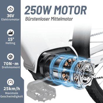 TTGO E-Bike Cityrad ZZ-28ST 28’’ E-Cityrad Alu-Tiefrahmen mit Mittelmotor und Gepäckträger, 9 Gang SHIMANO ALTUS, Kettenschaltung, Mittelmotor, 720 Wh, 36V 20AH Rahmen trägt 125 kg Abenteuer, Reichweite bis 150 km,Pedelec