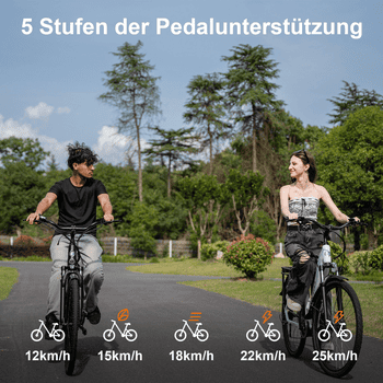 TTGO E-Bike Cityrad ZZ-28ST 28’’ E-Cityrad Alu-Tiefrahmen mit Mittelmotor und Gepäckträger, 9 Gang SHIMANO ALTUS, Kettenschaltung, Mittelmotor, 720 Wh, 36V 20AH Rahmen trägt 125 kg Abenteuer, Reichweite bis 150 km,Pedelec