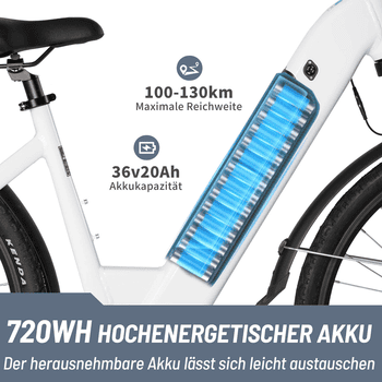 TTGO E-Bike Cityrad ZZ-28ST 28’’ E-Cityrad Alu-Tiefrahmen mit Mittelmotor und Gepäckträger, 9 Gang SHIMANO ALTUS, Kettenschaltung, Mittelmotor, 720 Wh, 36V 20AH Rahmen trägt 125 kg Abenteuer, Reichweite bis 150 km,Pedelec
