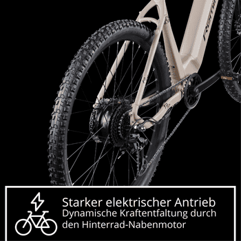 Remington E-Bike Mountainbike XR01, 10 Gang Shimano Cues U3020 SGS Schaltwerk, Kettenschaltung, Heckmotor, 550 Wh, E Bike Mountainbike 29 Zoll Pedelec 10 Gang 540Wh Fahrrad Hardtail MTB