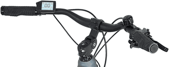 Prophete E-Bike Trekkingrad Entdecker 3.8, 8 Gang Shimano Altus Schaltwerk, Kettenschaltung, Mittelmotor, 540 Wh, Pedelec, Elektrofahrrad für Herren