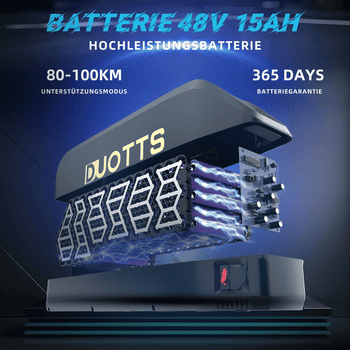 DUOTTS E-Bike Cityrad herren Elektrofahrrad 48V 15AH cityrad 29 Zoll damen 65Nm, Pedelec, 21 Gang, Kettenschaltung, Heckmotor, 720 Wh, 21 Gang, 720Wh Akku, Elektrofahrrad mit Gepäckträger