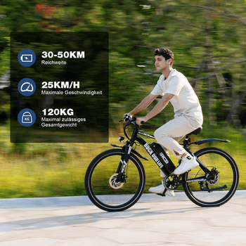 RCB E-Bike RK15, APP, 26 Zoll Pedelec, 10,4 Ah Lithium-Akku, Reichweite 30-50 km, 7 Gang, Kettenschaltung, 250W Heckmotor, 374,4 Wh