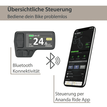 AGON E-Bike Mountainbike Alpha, 10 Gang Deore SGS T6000 Schaltwerk, Kettenschaltung, Heckmotor, 540 Wh, Pedelec, Elektrofahrrad für Damen u. Herren, MTB